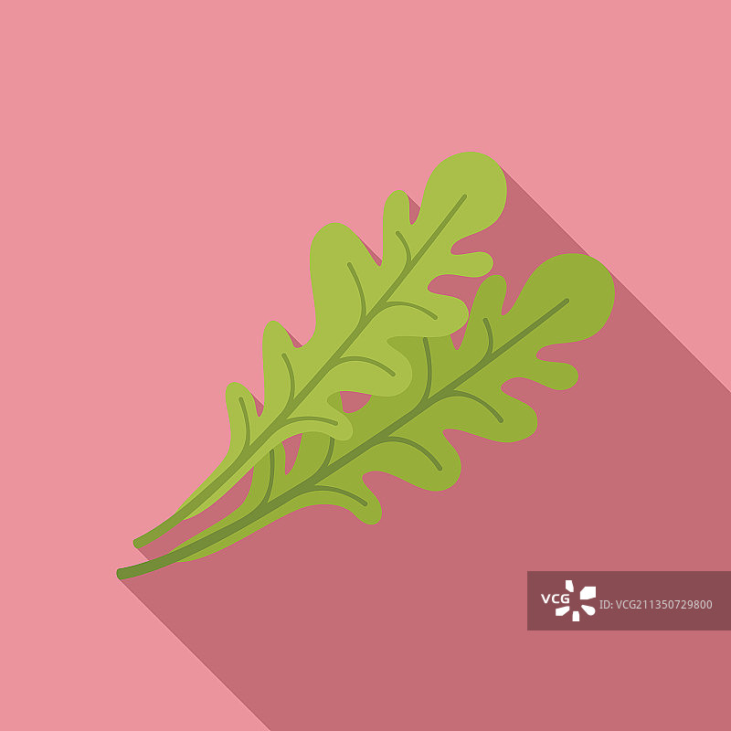 芝麻菜叶图标扁平风格沙拉图片素材