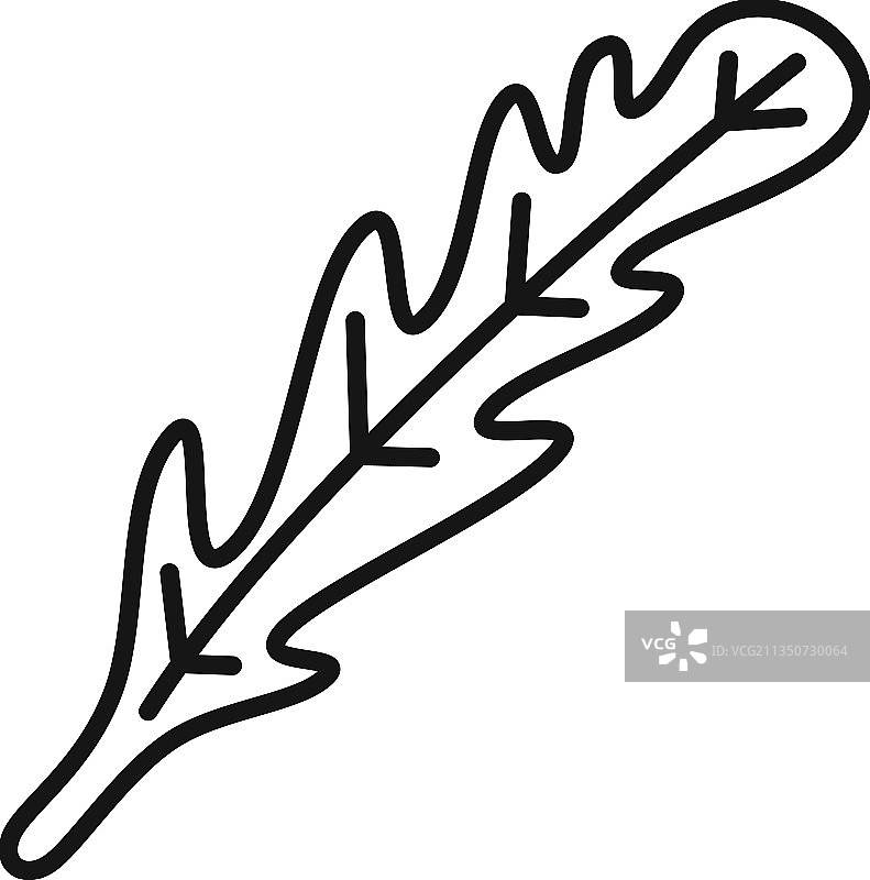 芝麻菜沙拉图标轮廓图片素材