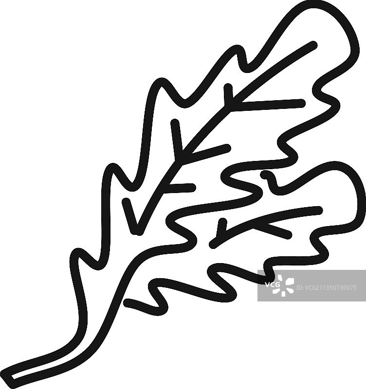 莳萝芝麻菜图标轮廓沙拉图片素材