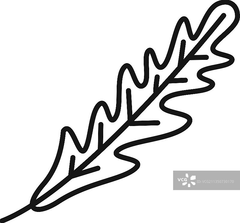 芝麻菜叶描边图标图片素材