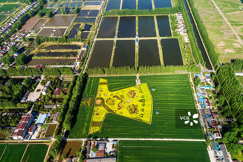 龙袍之春图片素材