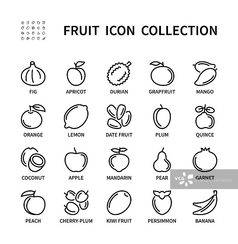 健康食品的简约水果图标集合图片素材