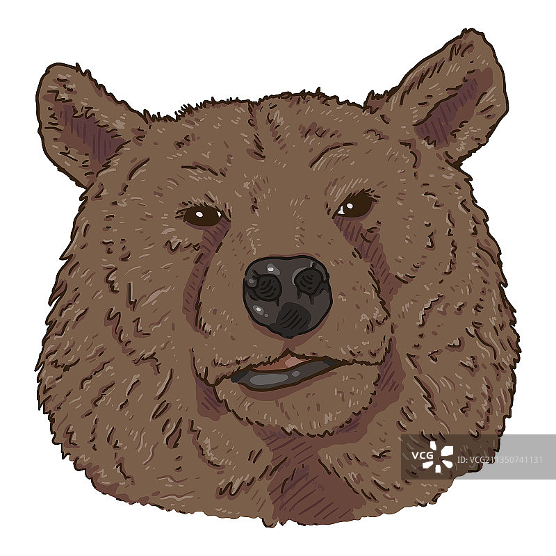 卡通棕熊的头部图片素材