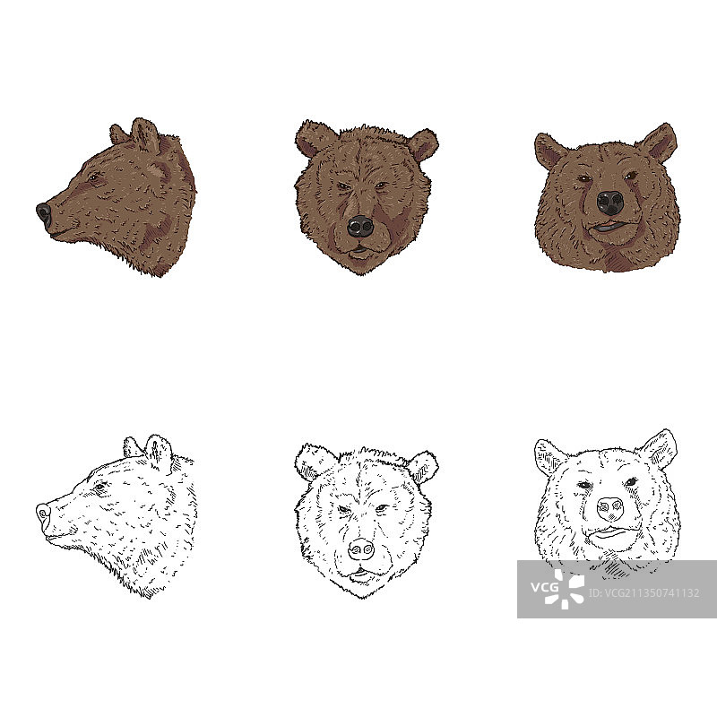 熊头素描和卡通图案合集图片素材