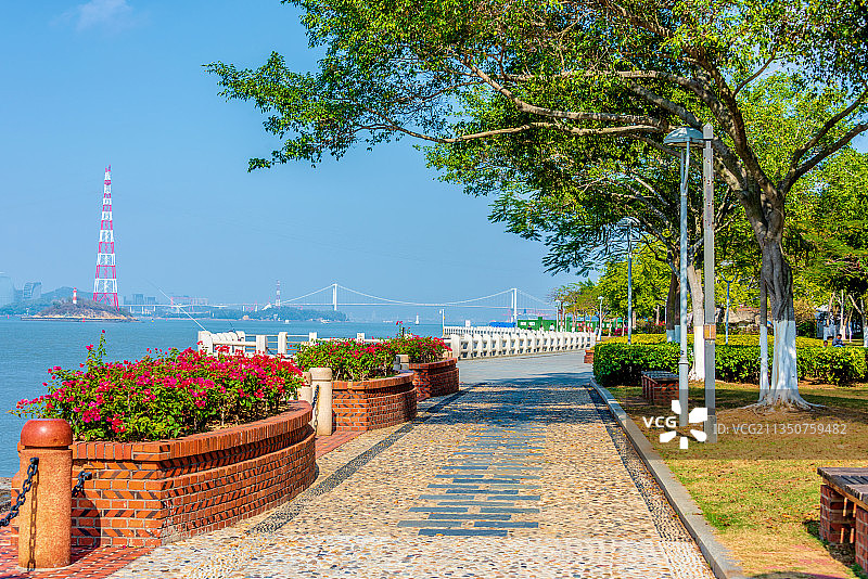中国福建厦门鼓浪屿海滨风光图片素材