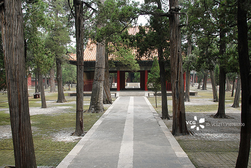 山东省济宁市曲阜市，孔府，孔庙，孔林，孔子，世界遗产，文化图片素材