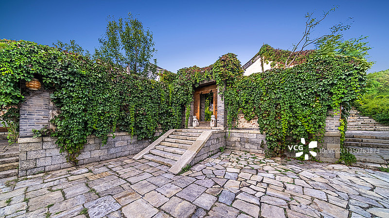 爬满爬山虎的院落门廊围墙图片素材