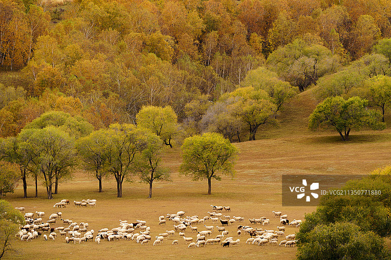 乌兰布统蛤蟆坝图片素材