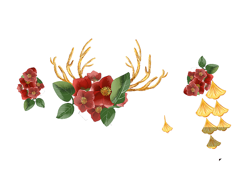中国风发卉头饰配饰插画元素图片素材