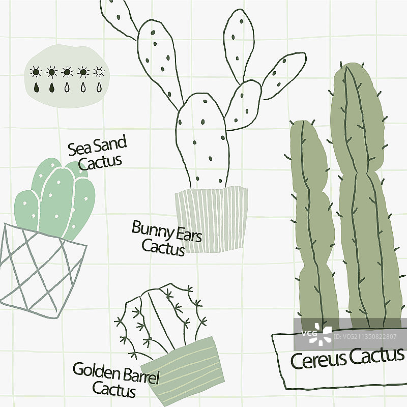 社交媒体图片素材