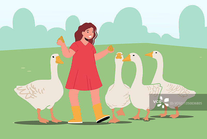 女孩在户外动物园喂家禽图片素材