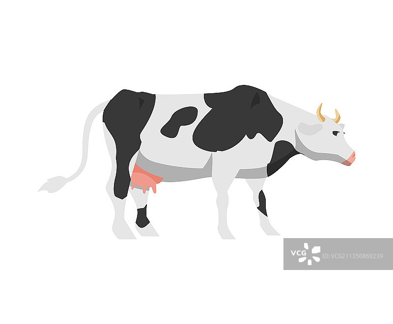 卡通黑白花奶牛图片素材
