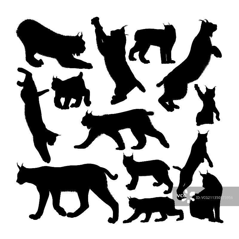 猞猁猫动物剪影图片素材