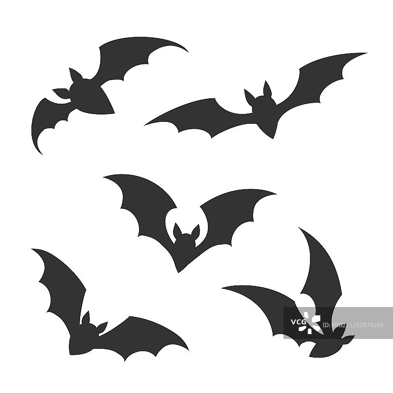 飞翔的蝙蝠图片素材