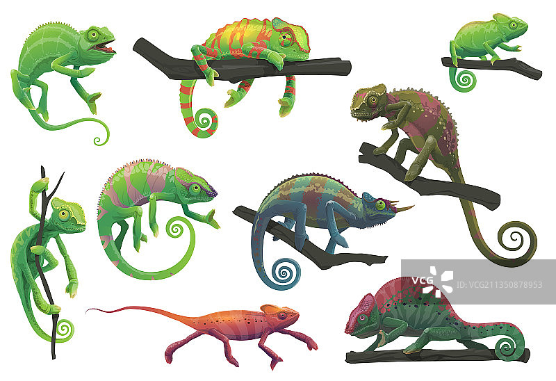 卡通变色龙蜥蜴图片素材