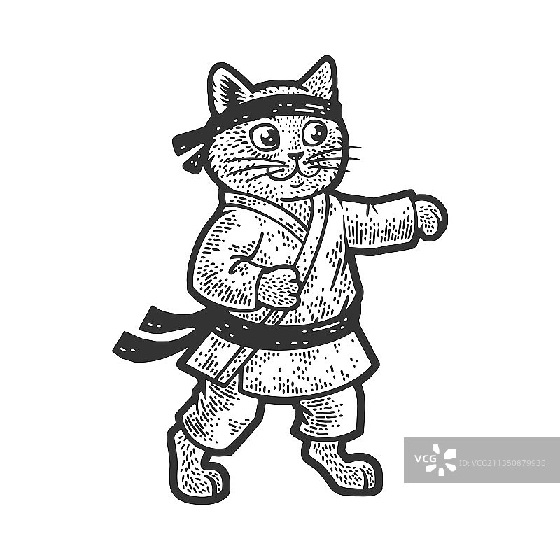 空手道猫素描图片素材