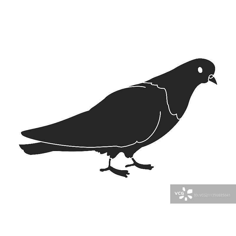 黑色孤立鸽子图标图片素材