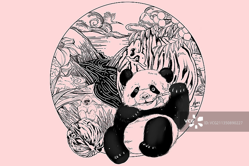 特产包装图片素材