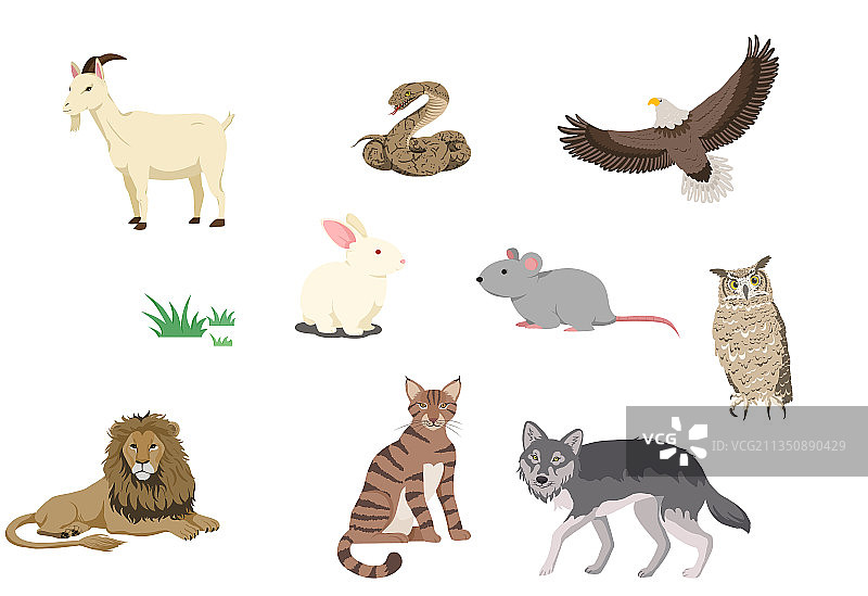 动物世界1图片素材