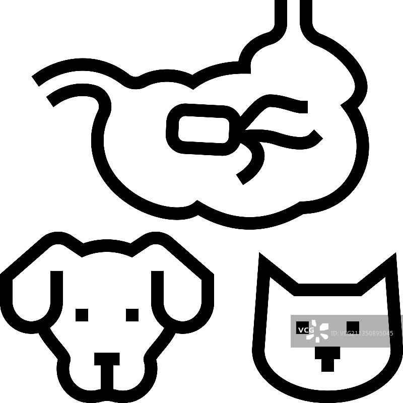 犬猫沙门氏菌病线性图标图片素材