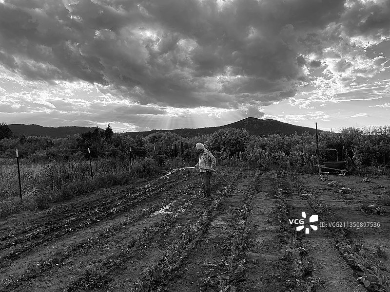 妇女在天空下浇灌花园图片素材