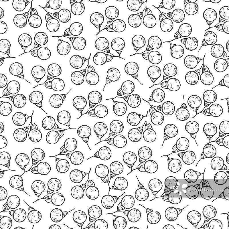 白色背景上的樟树浆果无缝壁纸图片素材