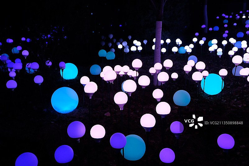 北京 玉渊潭公园.万物共生光影艺术展图片素材