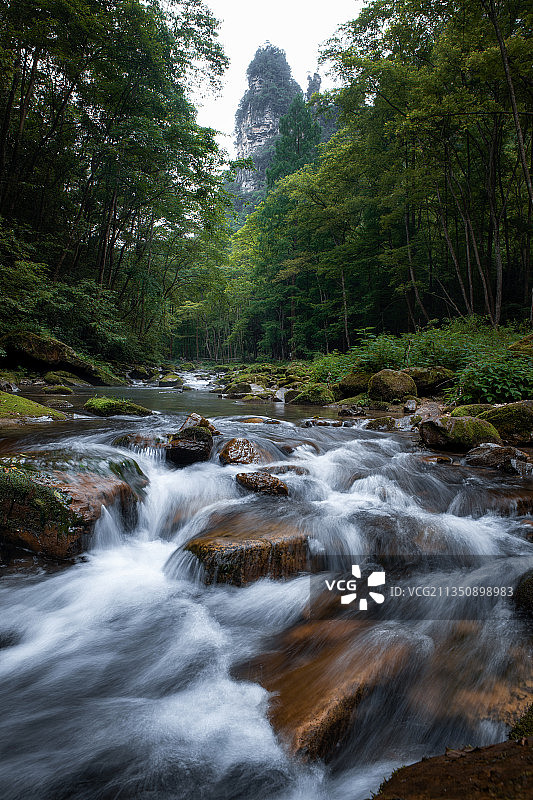 金鞭溪图片素材