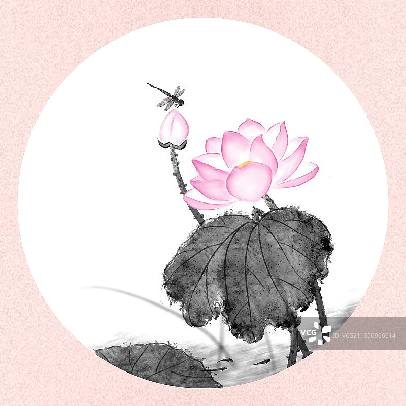 插画,荷花,立夏,夏至,小暑,大暑,荷叶,蜻蜓,墨水,特写,图片素材