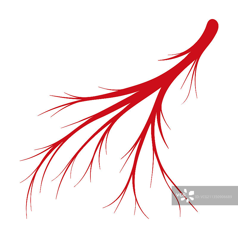 人体卡通血管图标图片素材