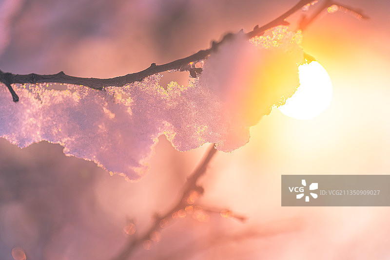 冰雪消融阳光温暖春节立春冬天初春雾凇树挂图片素材