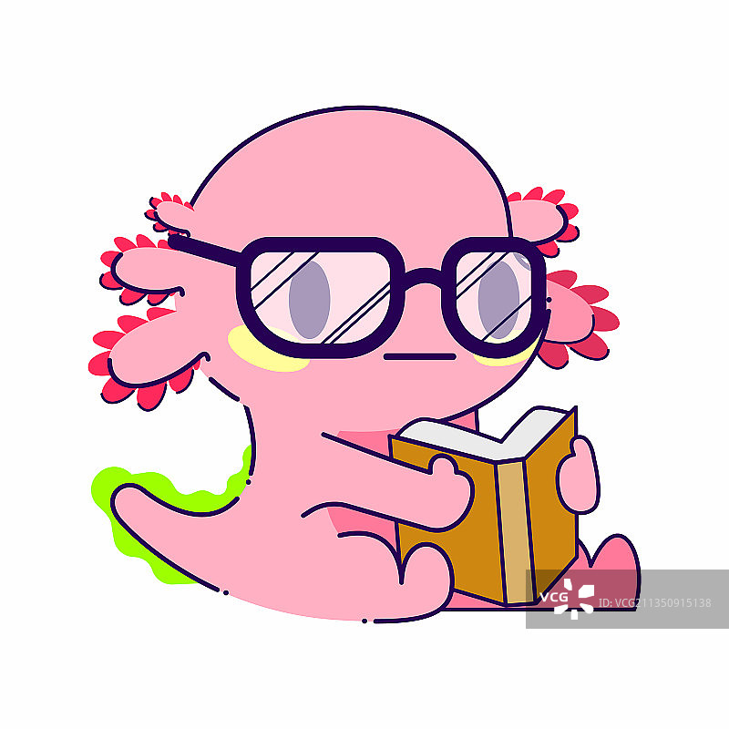 可爱的墨西哥钝口螈阅读姿势图片素材