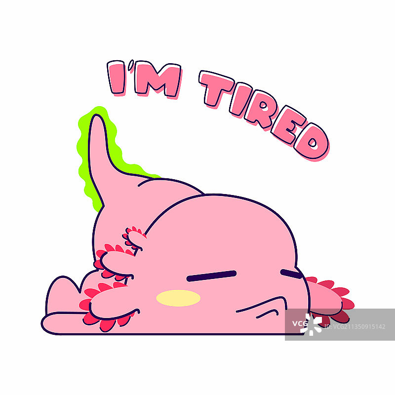 可爱的墨西哥钝口螈疲惫的姿势图片素材