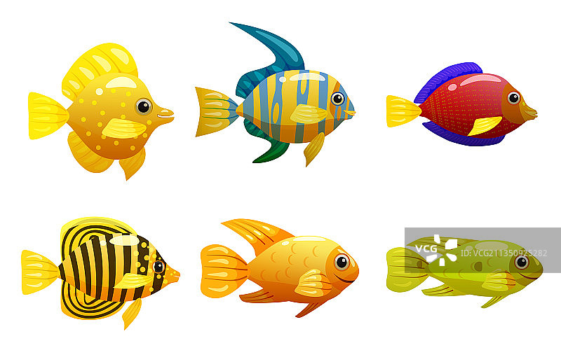 热带黄鱼珊瑚礁异国宠物图片素材