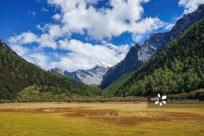 四川，稻城亚丁，仙乃日山，高原，洛绒牛场图片素材