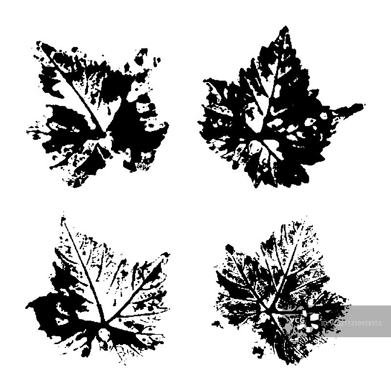 白色背景上的黑色树叶印花合集图片素材