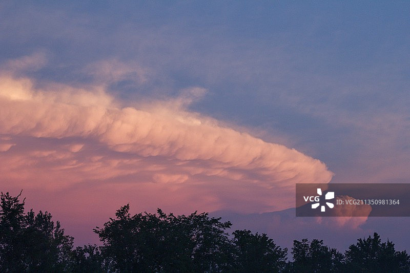 低角度的剪影的树木对天空在日落图片素材