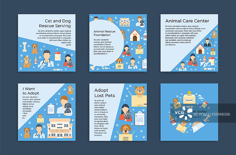 动物护理方形海报合集图片素材