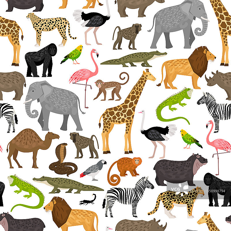 非洲动物和小鸟可爱图案图片素材