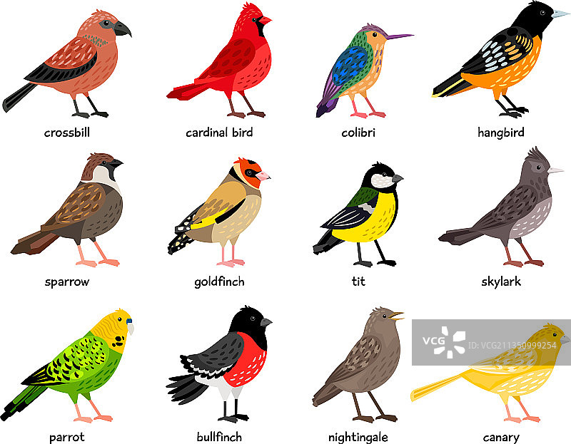 一套可爱的彩色小鸟图片素材