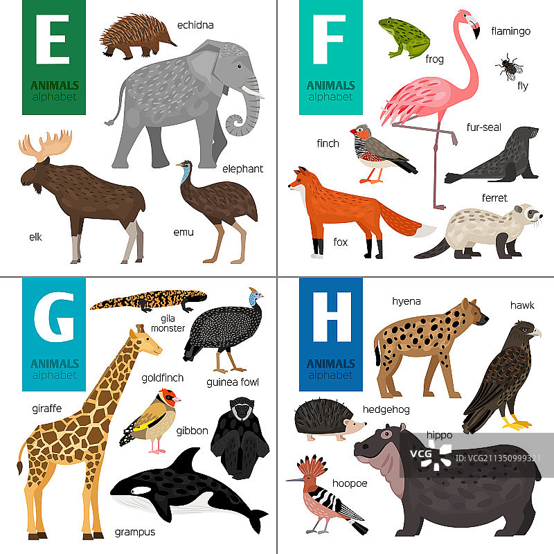 ABC不同动物可爱动物园字母表图片素材