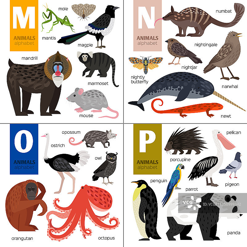 ABC不同动物可爱动物园字母表图片素材