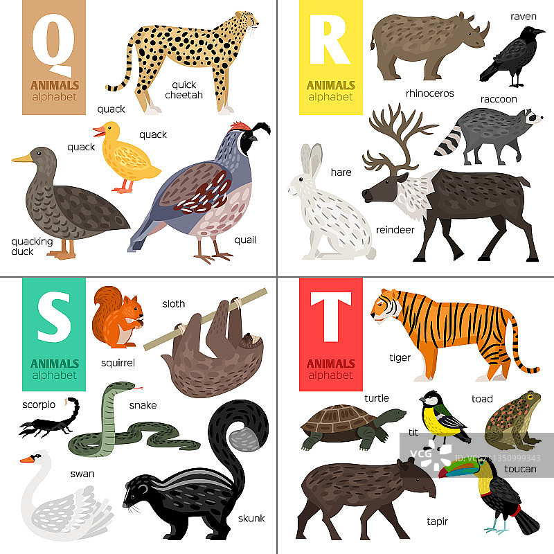 ABC不同动物可爱动物园字母表图片素材