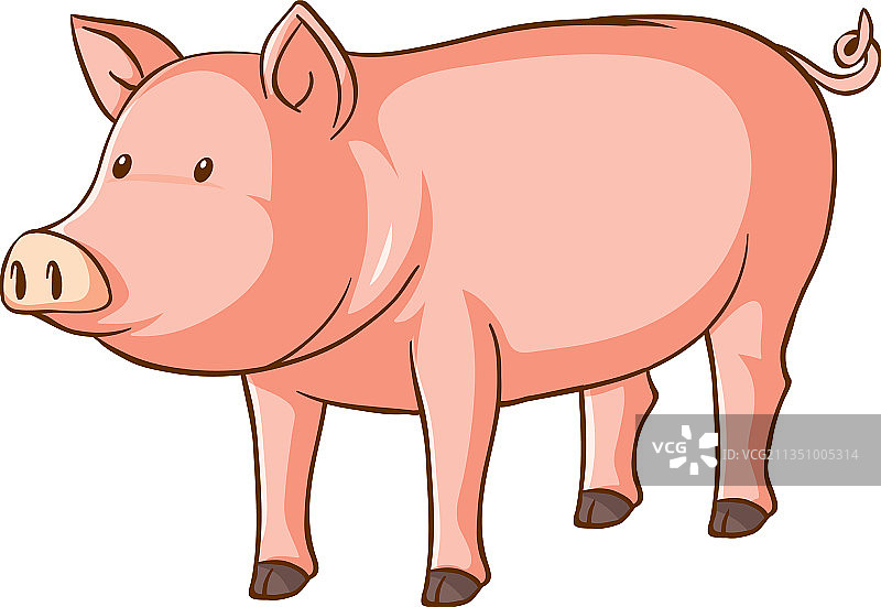 白色背景上的可爱卡通猪图片素材
