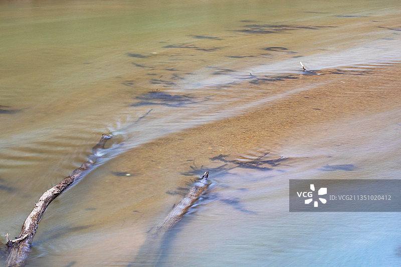 北卡罗来纳州布默小溪的树枝俯视照片图片素材