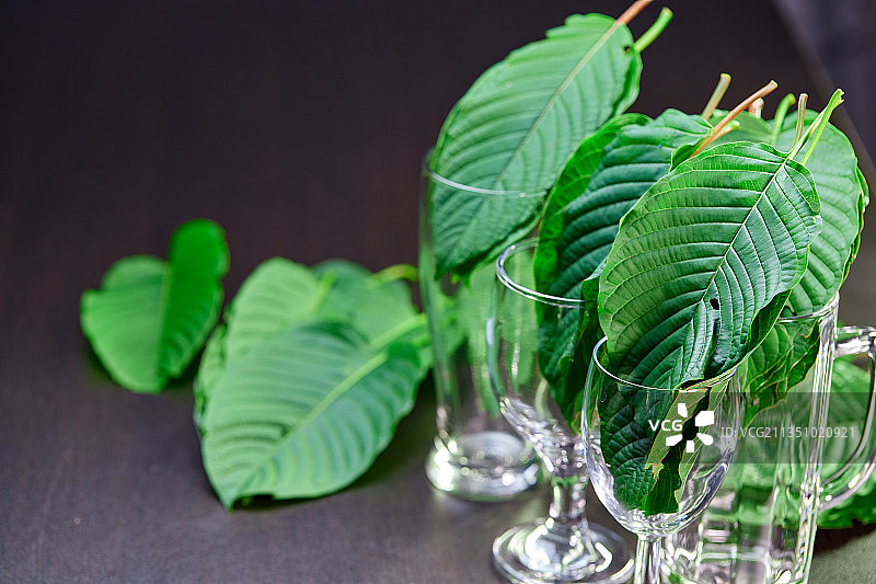 泰国曼谷的桌面树叶特写图片素材