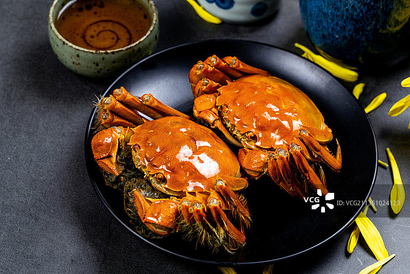 大闸蟹图片素材