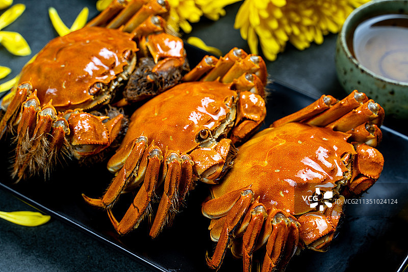 大闸蟹图片素材