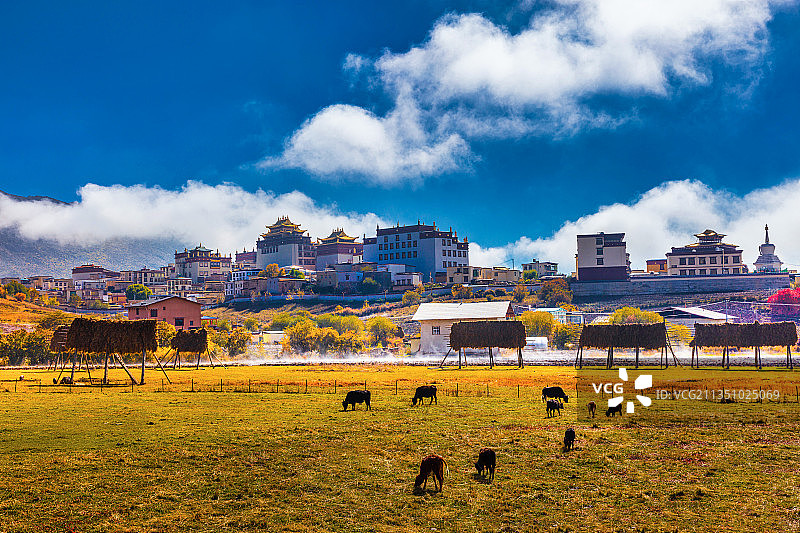 松赞林寺秋色图片素材