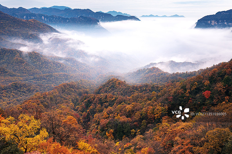 湖北神农架图片素材